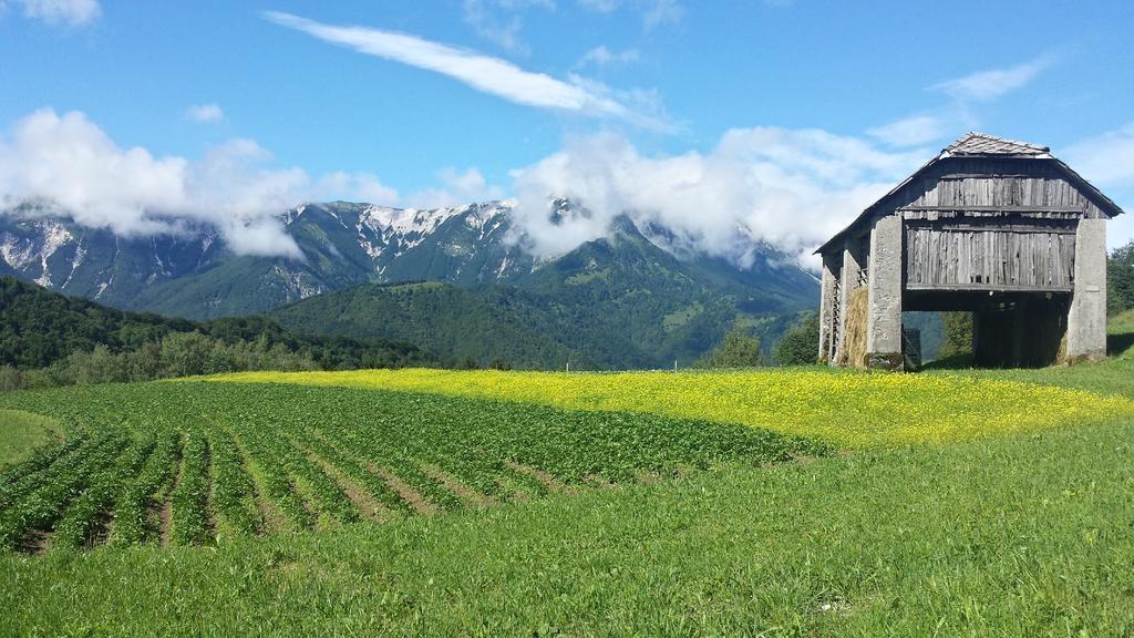 Apartmaji Pr-Gujlu Sela Nad Podmelcem 5220 Tolmin Podmelec Exteriér fotografie
