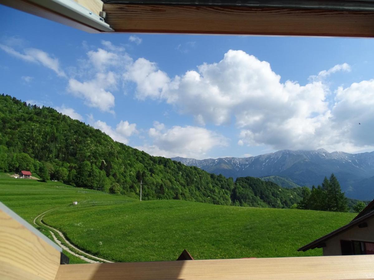 Apartmaji Pr-Gujlu Sela Nad Podmelcem 5220 Tolmin Podmelec Exteriér fotografie