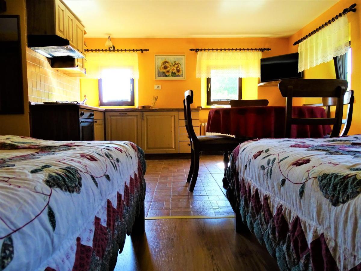Apartmaji Pr-Gujlu Sela Nad Podmelcem 5220 Tolmin Podmelec Exteriér fotografie